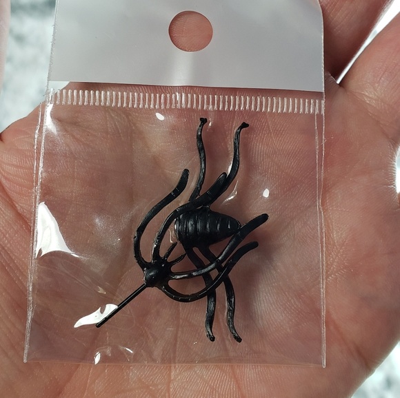 Spider Scary Creepy Halloween - Picture 5 of 8